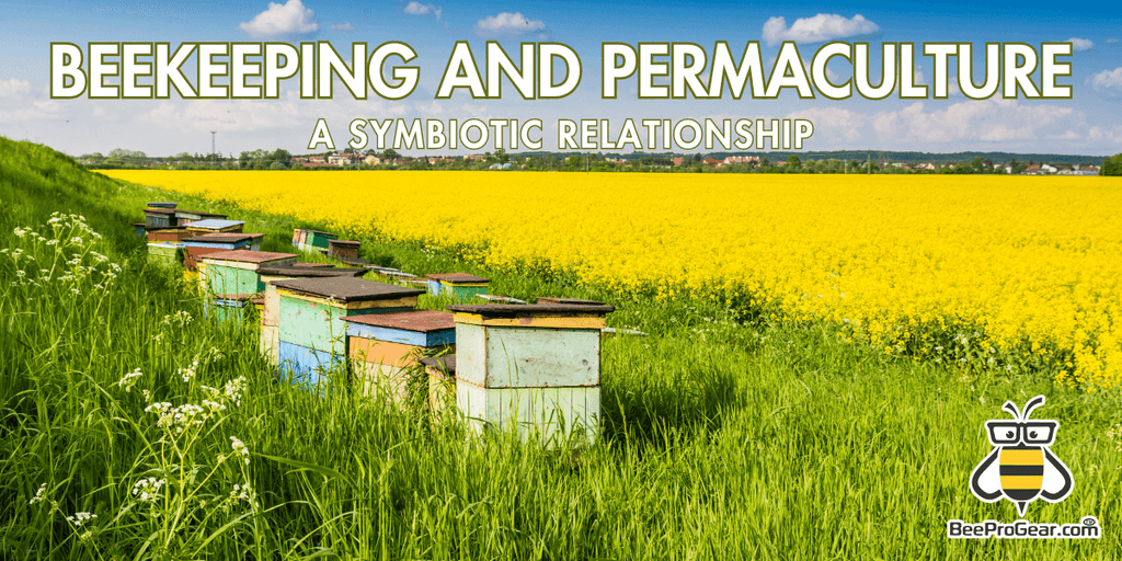 Beekeeping and Permaculture: A Symbiotic Relationship