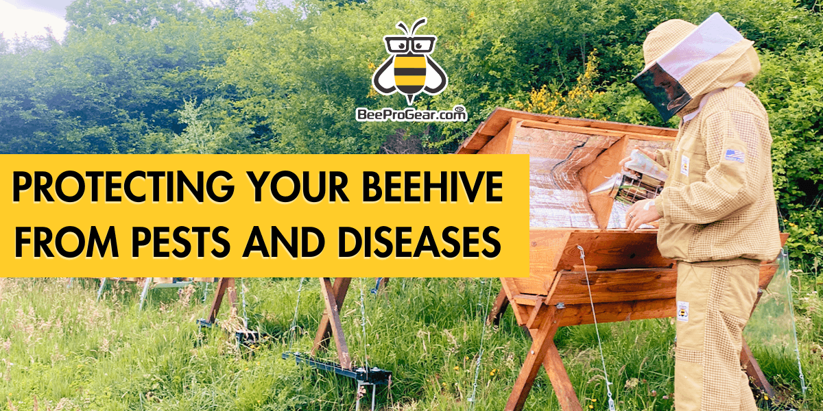 Protecting Your Beehive: How To Prevent And Manage Pests And Diseases 