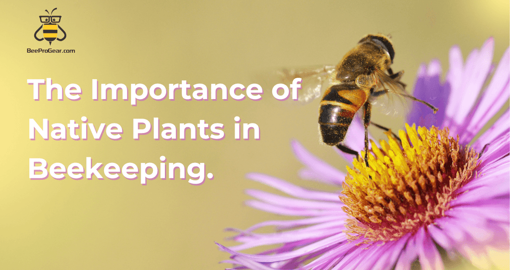 A Guide to Creating Bee-Friendly Gardens: