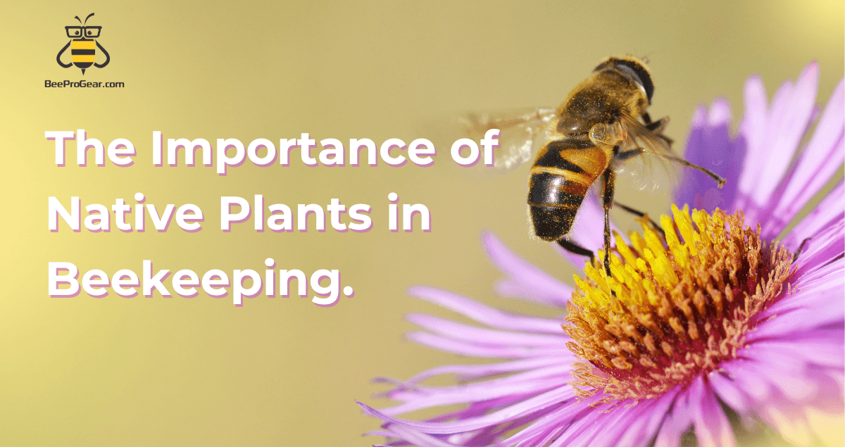 A Guide to Creating Bee-Friendly Gardens: – BeeProGear®️