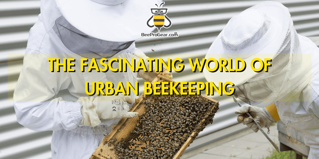 The Fascinating World of Urban Beekeeping: Benefits, Challenges, and Getting Started