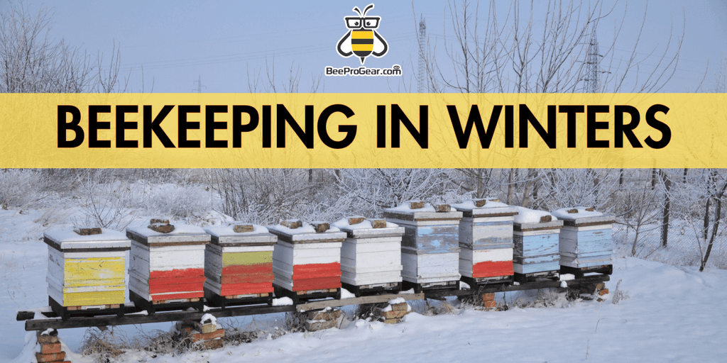 Tips for Beekeeping in Winter