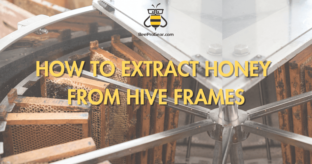 How to Extract Honey From Hive Frames: