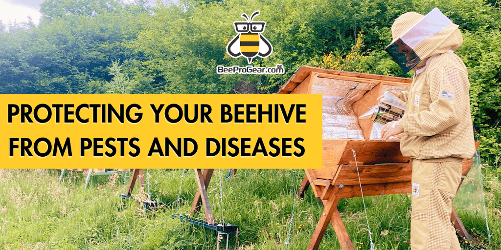 Protecting Your Beehive: How to Prevent and Manage Pests and Diseases