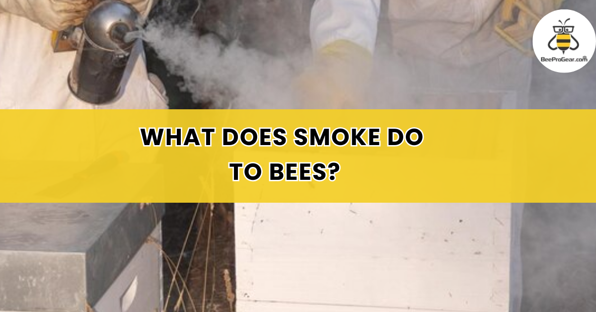 why are bees attracted to cigarette smoke What does Smoke do to Bees? why are bees attracted to cigarette smoke What does Smoke do to Bees?