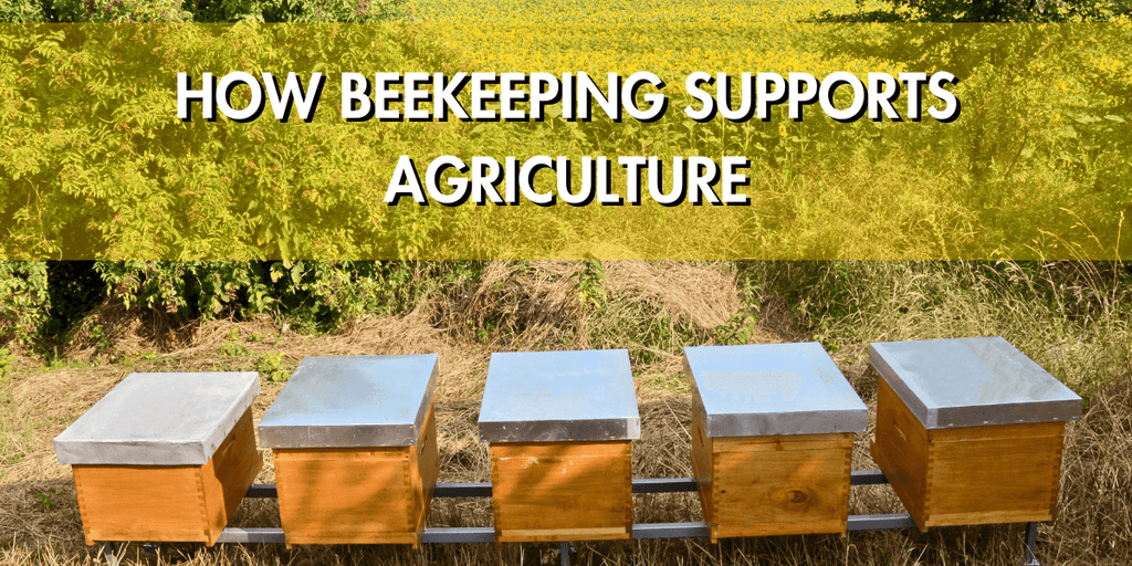 The Importance of Pollinators:  How Beekeeping Supports Agriculture.