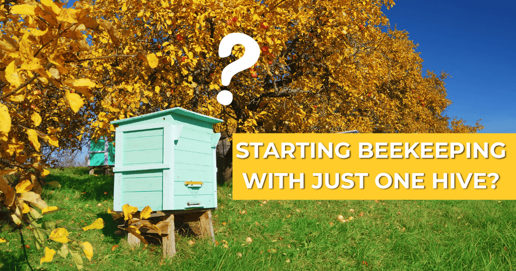 The Importance of Starting Beekeeping with Multiple Hives