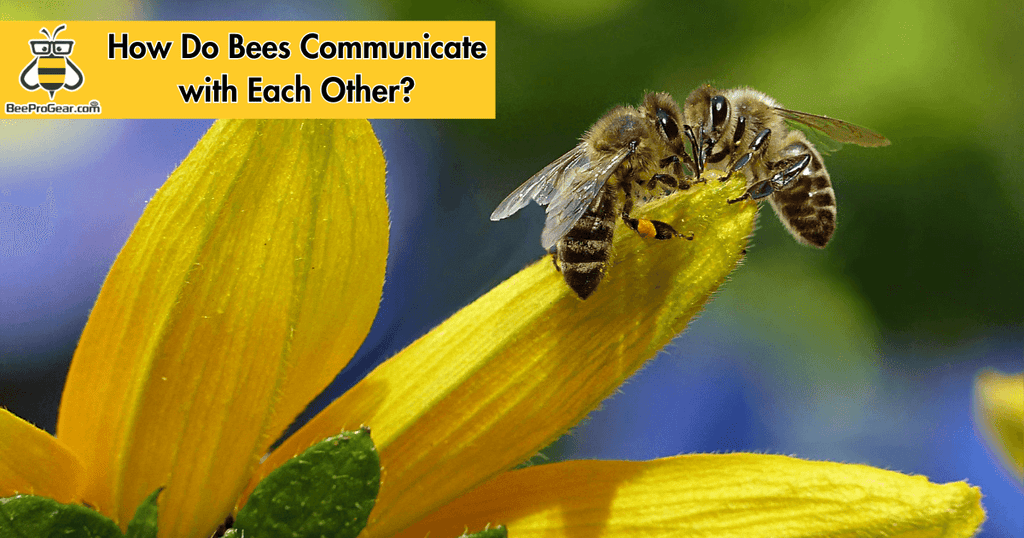 how do bees communicate with each other