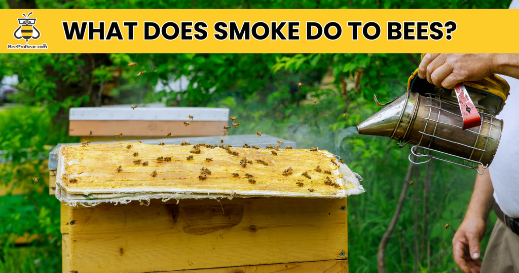 WHAT DOES SMOKE DO TO BEES?